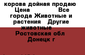 корова дойная продаю › Цена ­ 100 000 - Все города Животные и растения » Другие животные   . Ростовская обл.,Донецк г.